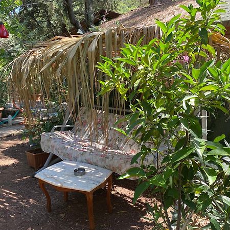 Canario Bungalows Çıralı 外观 照片