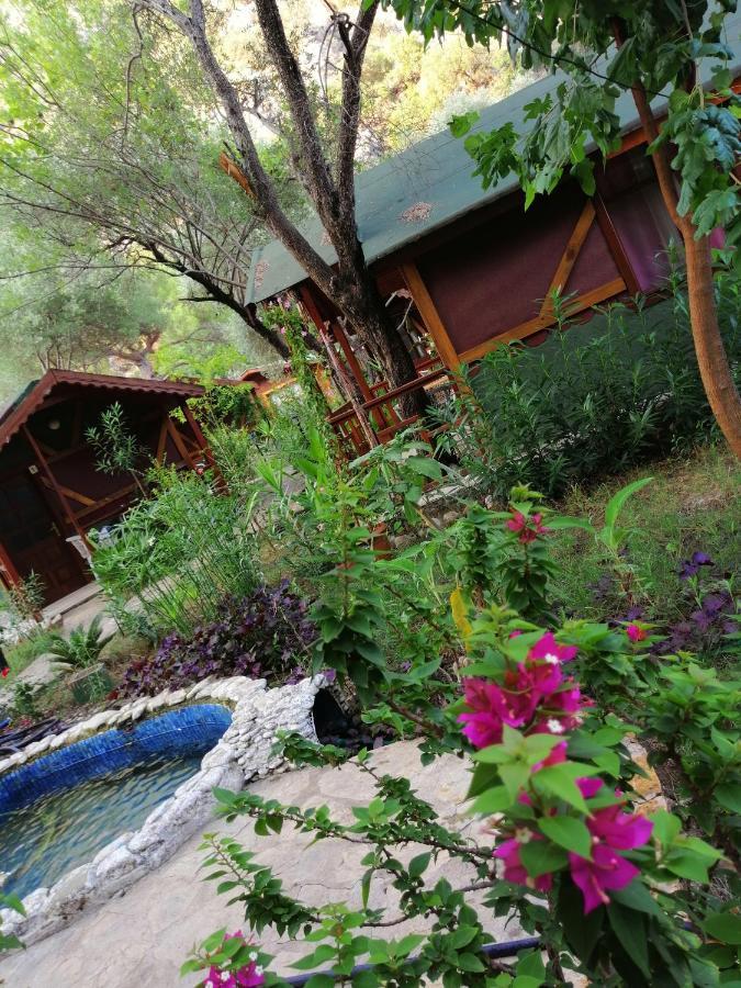Canario Bungalows Çıralı 外观 照片