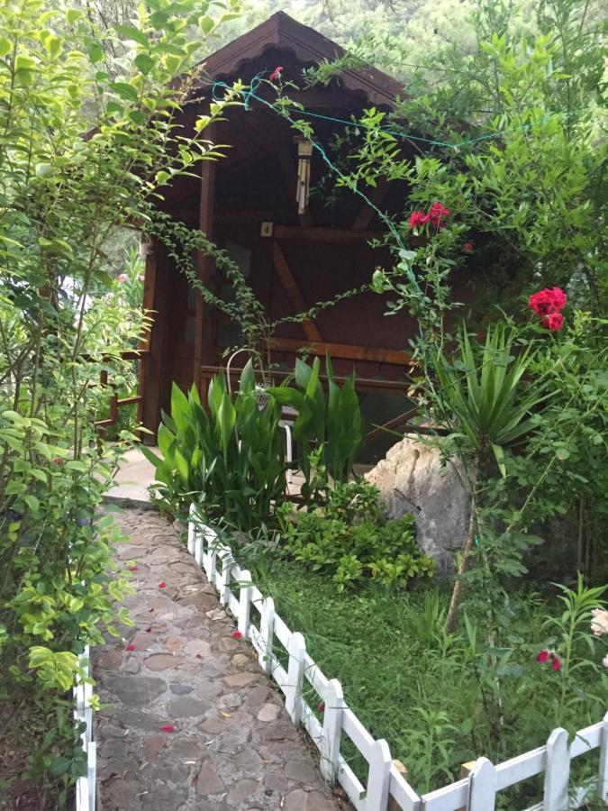 Canario Bungalows Çıralı 外观 照片