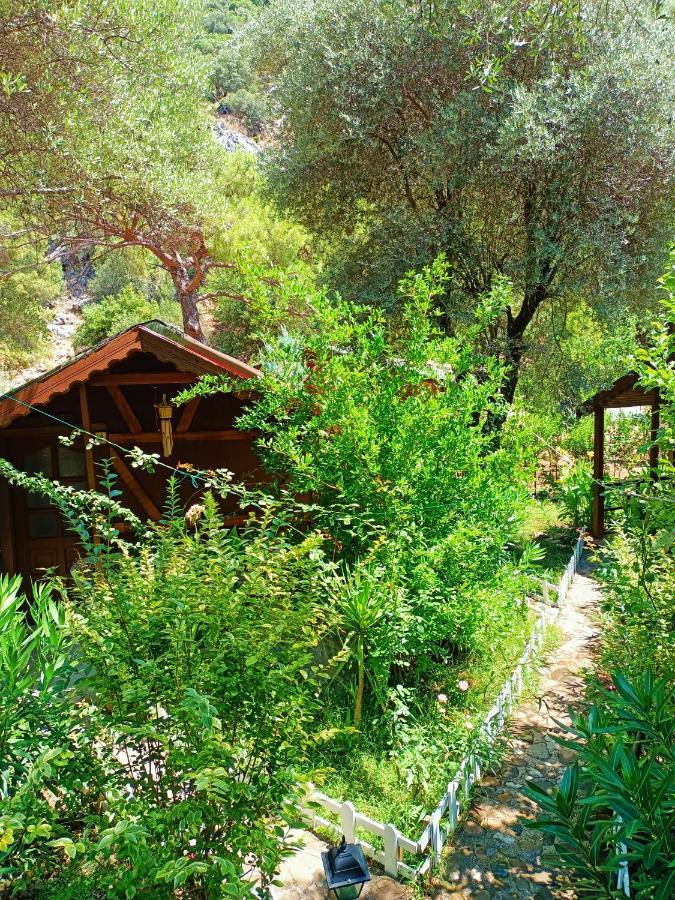 Canario Bungalows Çıralı 外观 照片