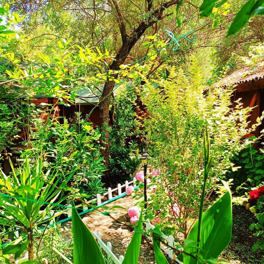 Canario Bungalows Çıralı 外观 照片