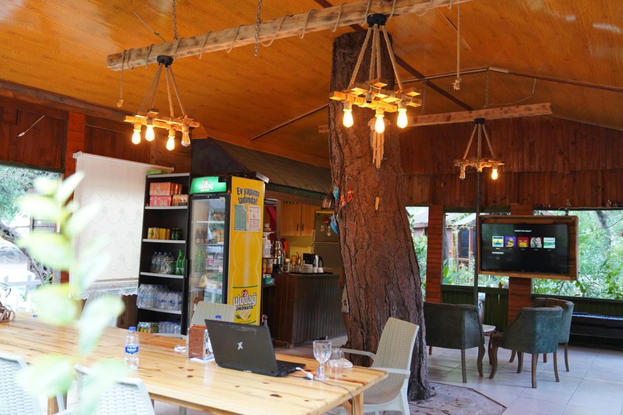 Canario Bungalows Çıralı 外观 照片
