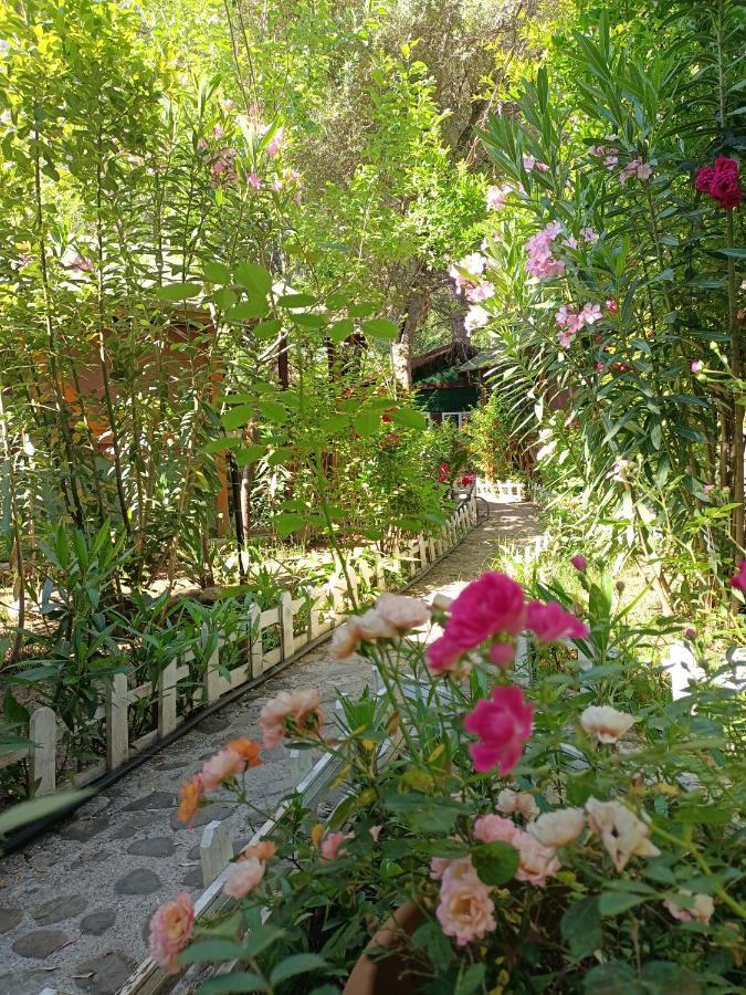 Canario Bungalows Çıralı 外观 照片