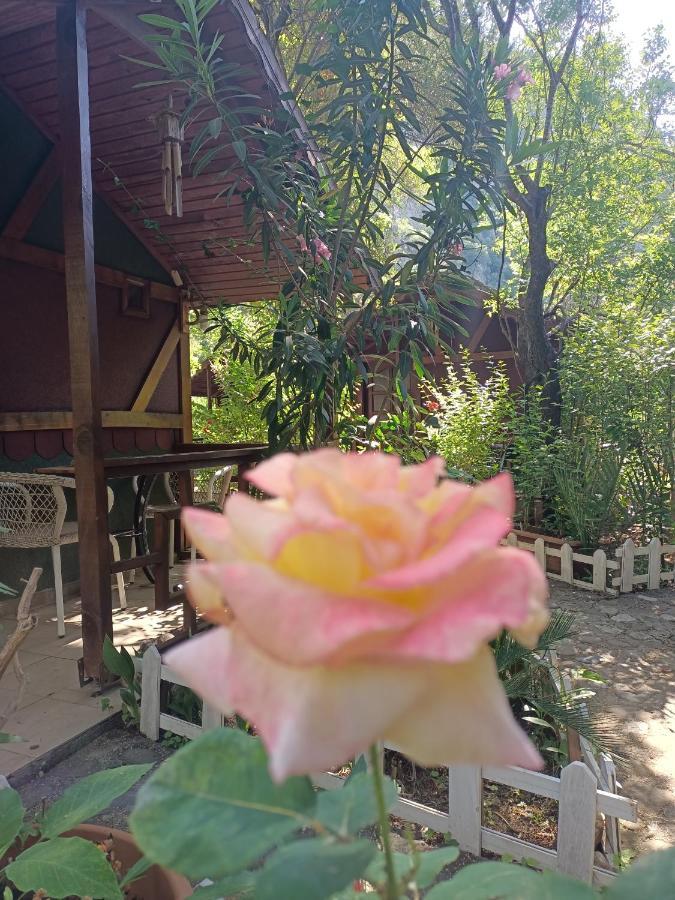 Canario Bungalows Çıralı 外观 照片