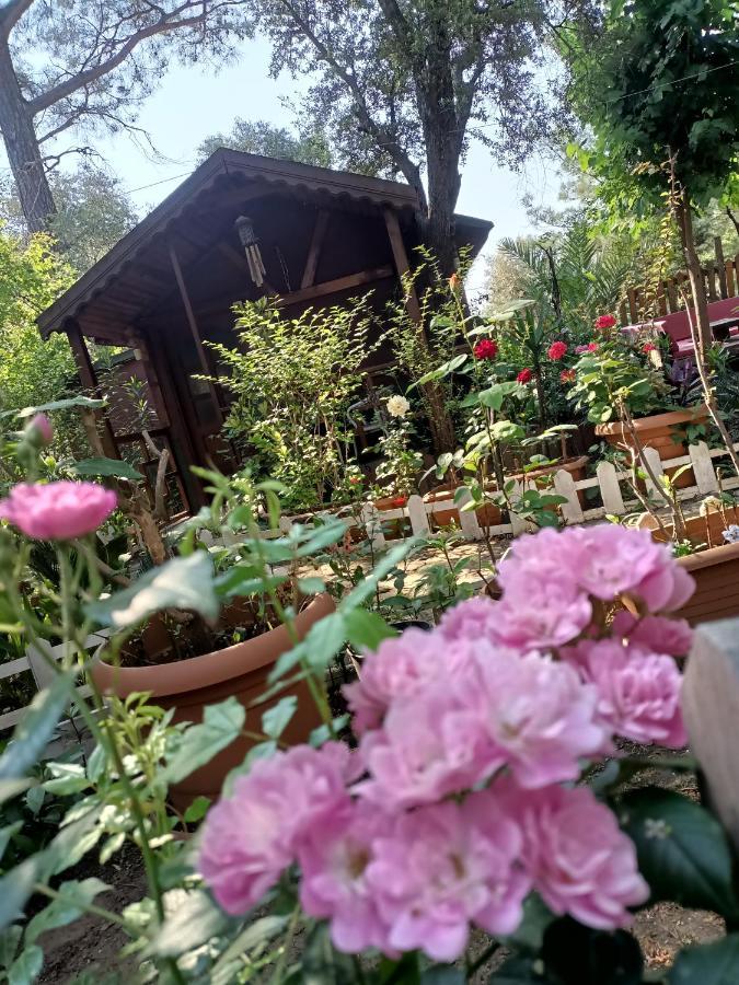 Canario Bungalows Çıralı 外观 照片