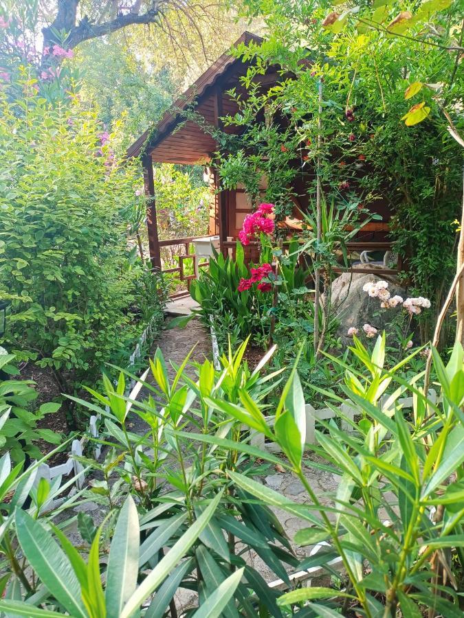 Canario Bungalows Çıralı 外观 照片