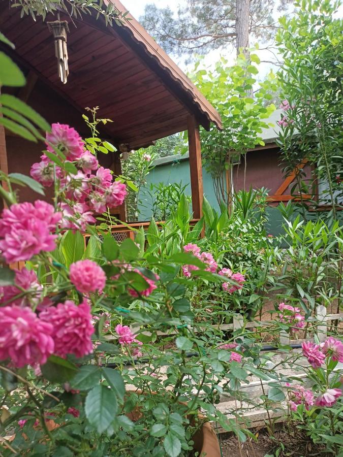 Canario Bungalows Çıralı 外观 照片