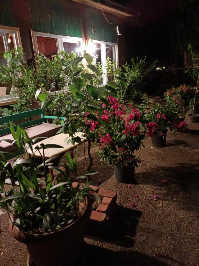 Canario Bungalows Çıralı 外观 照片