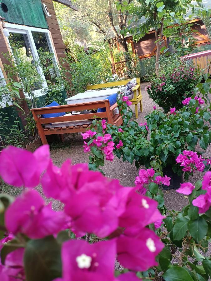 Canario Bungalows Çıralı 外观 照片