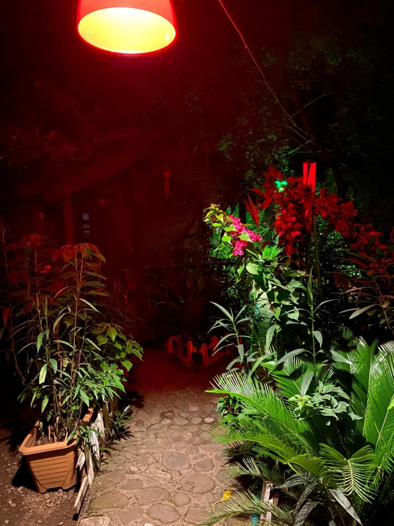Canario Bungalows Çıralı 外观 照片