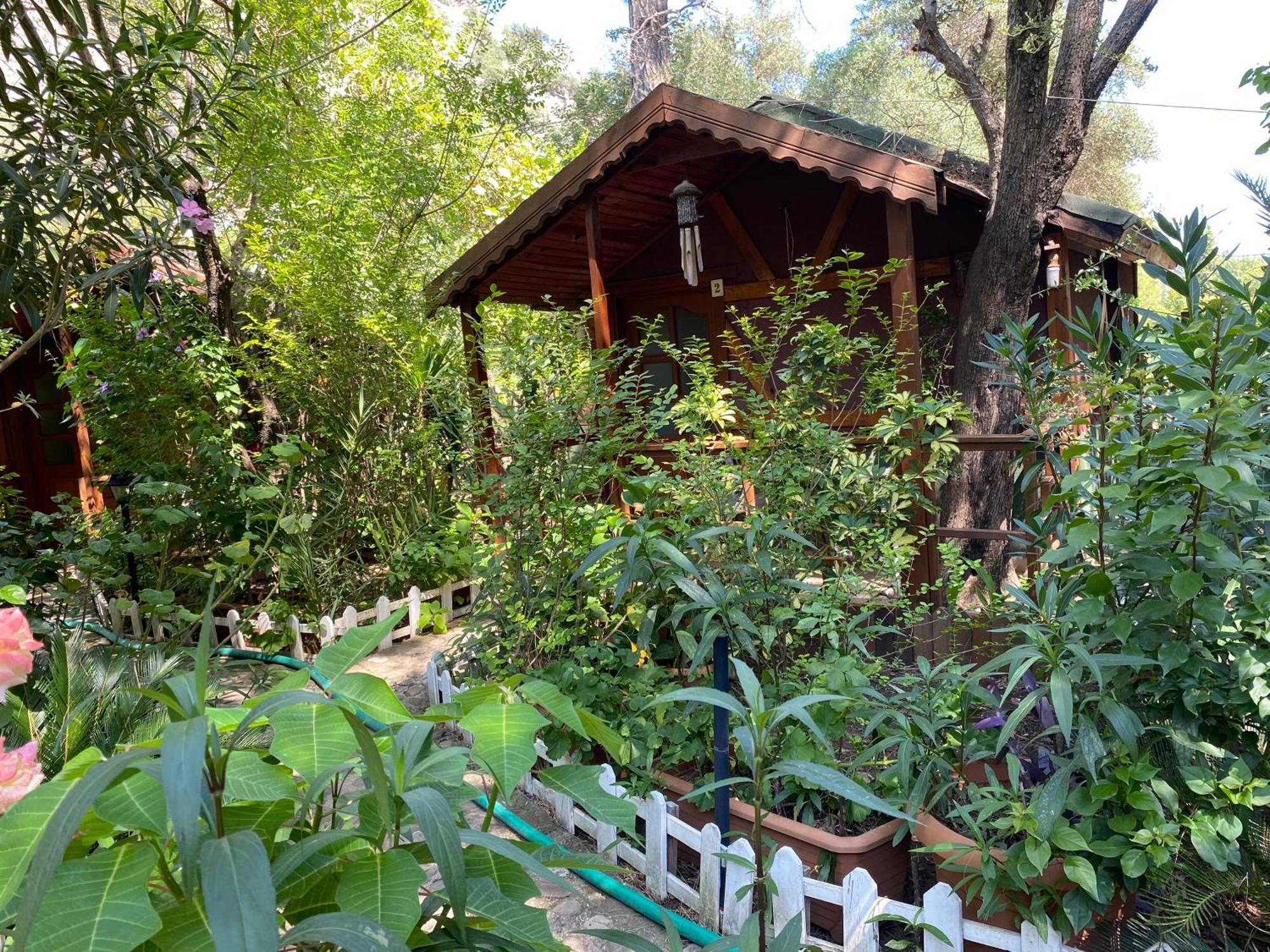Canario Bungalows Çıralı 外观 照片