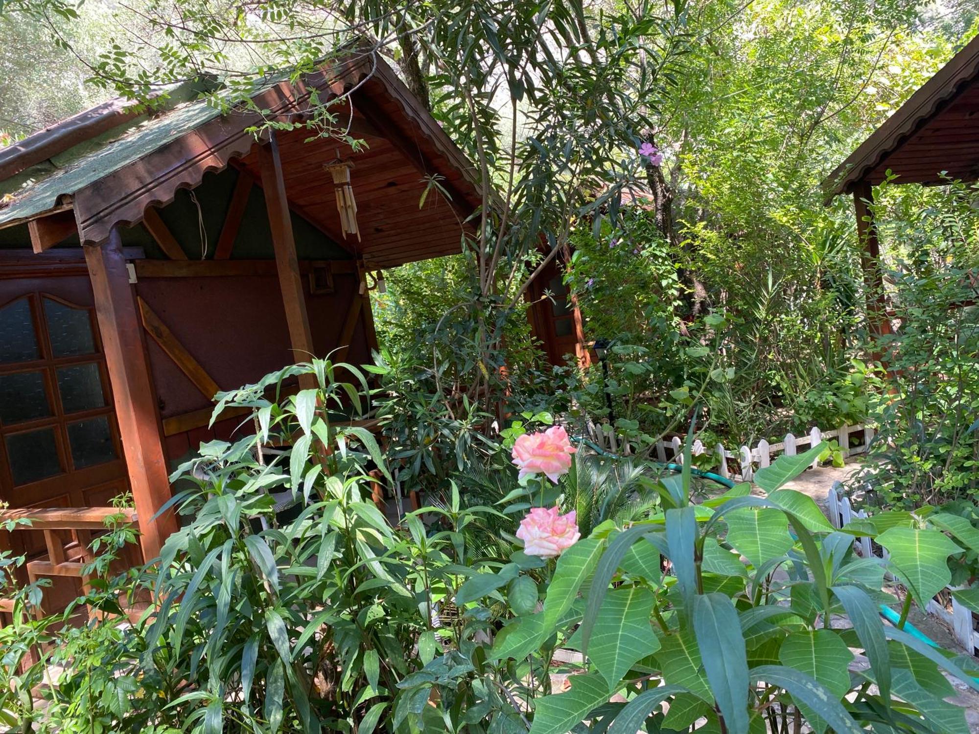 Canario Bungalows Çıralı 外观 照片