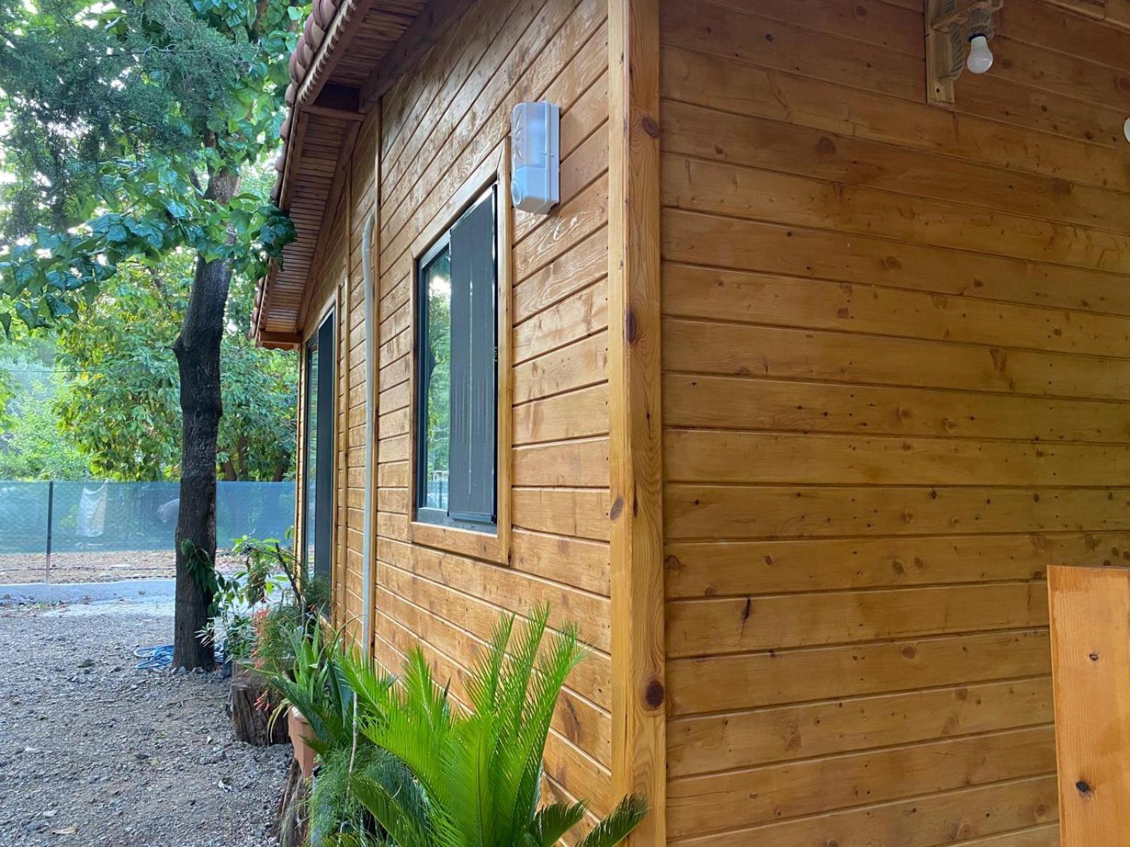 Canario Bungalows Çıralı 外观 照片
