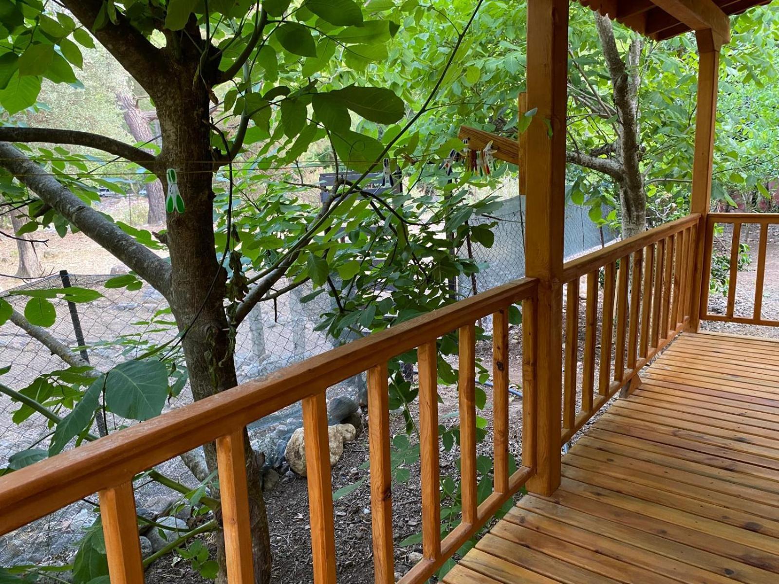 Canario Bungalows Çıralı 外观 照片